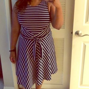 NWT Blue/white Dress from Anthropologie